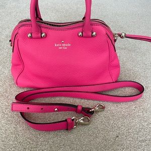 Kate Spade Strawberry Fruyo mini Audrey